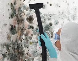 Why You Should Choose Our Mold Remediation Services in Pierce City, MO